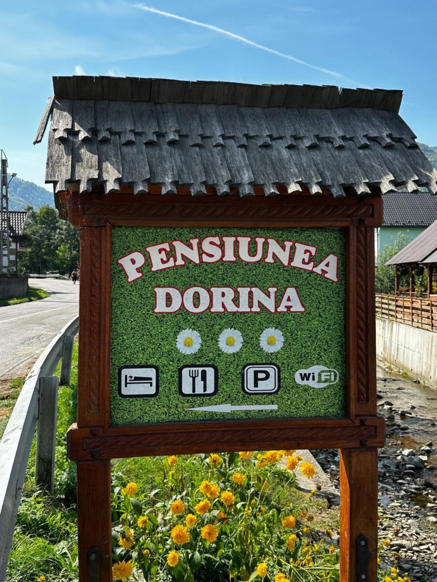 Pensiunea Dorina Botiza Екстер'єр фото